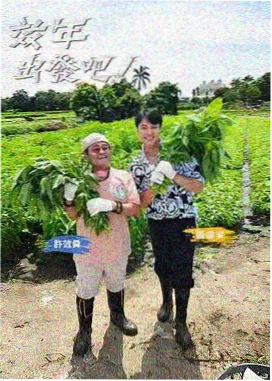 三九影院在线观看电视剧百度云 极限挑战